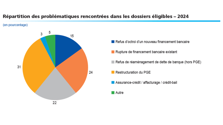 Répartition des problématiques rencontrées dans les dossier éligibles