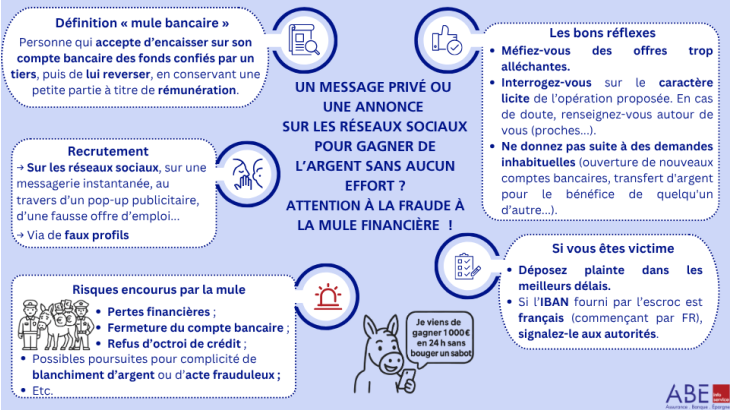 Résumé en image : un message privé ou une annonce sur les réseaux sociaux pour gagner de l'argent sans aucun effort ? Attention à la fraude à la mule financière