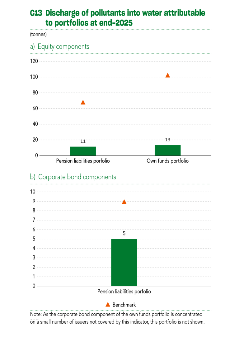 2025 Sustainability Report C13