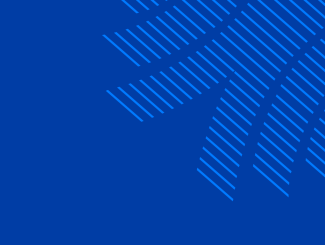 François Villeroy de Galhau intervention